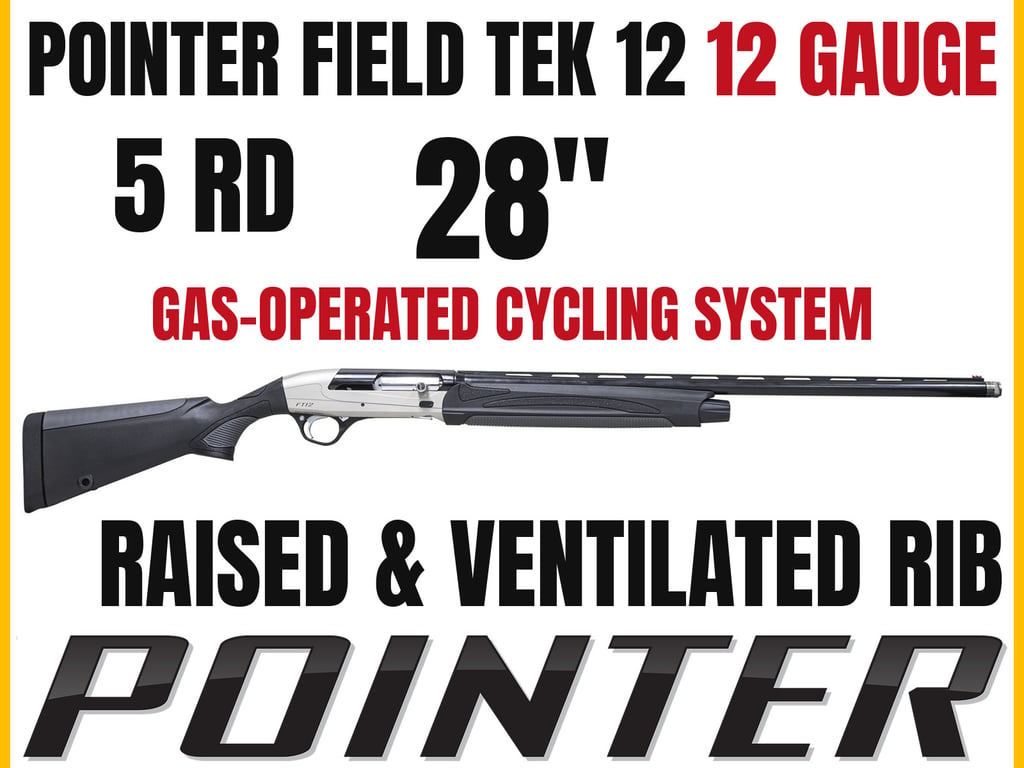 Pointer Field Tek 12-img-0