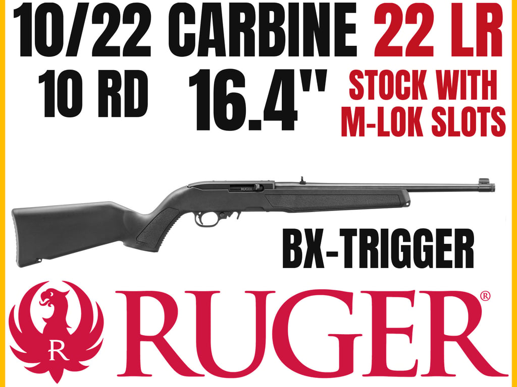 Ruger 10/22 Carbine-img-0