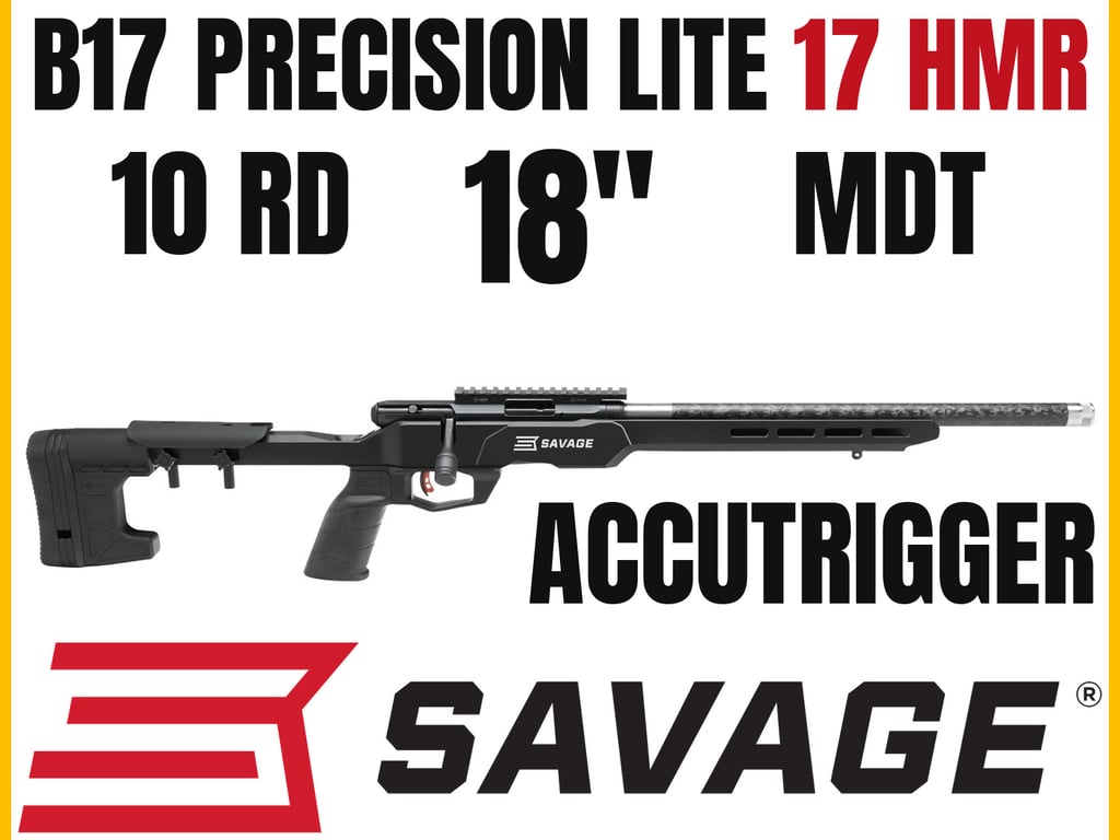Savage B17 Precision Lite-img-0