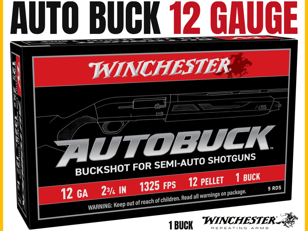 Winchester 12 Gauge Bulk 250rd Case-img-0