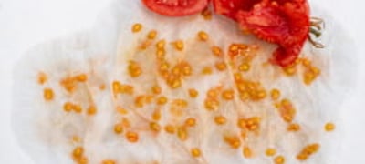 Semences reproductibles, être autonome au jardin - Faucompierre
