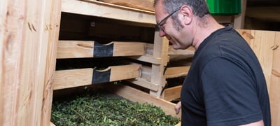 Découverte des plantes sauvages autour du Valtin - Le Valtin