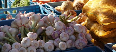 Accueils touristiques et marché du terroir - Fraize