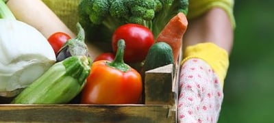 Marché des producteurs bio et artisans locaux - Xonrupt-Longemer