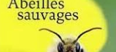 EXPOSITION PHOTOGRAPHIQUE ABEILLES SAUVAGES – POLLINIZZ - Médiathèque de Golbey