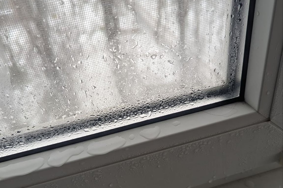 Окна в квартире Екатерины. Фото: «Новости Донбасса»