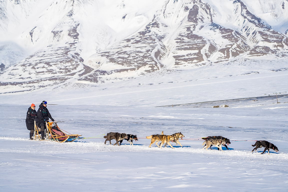 Кронпринц Норвегии Хокон и кронпринцесса Метте-Марит едут на собачьих упряжках недалеко от Лонгйира, Шпицберген, Норвегия, 21 апреля 2022 года. Фото: Ole Berg-Rusten / EPA