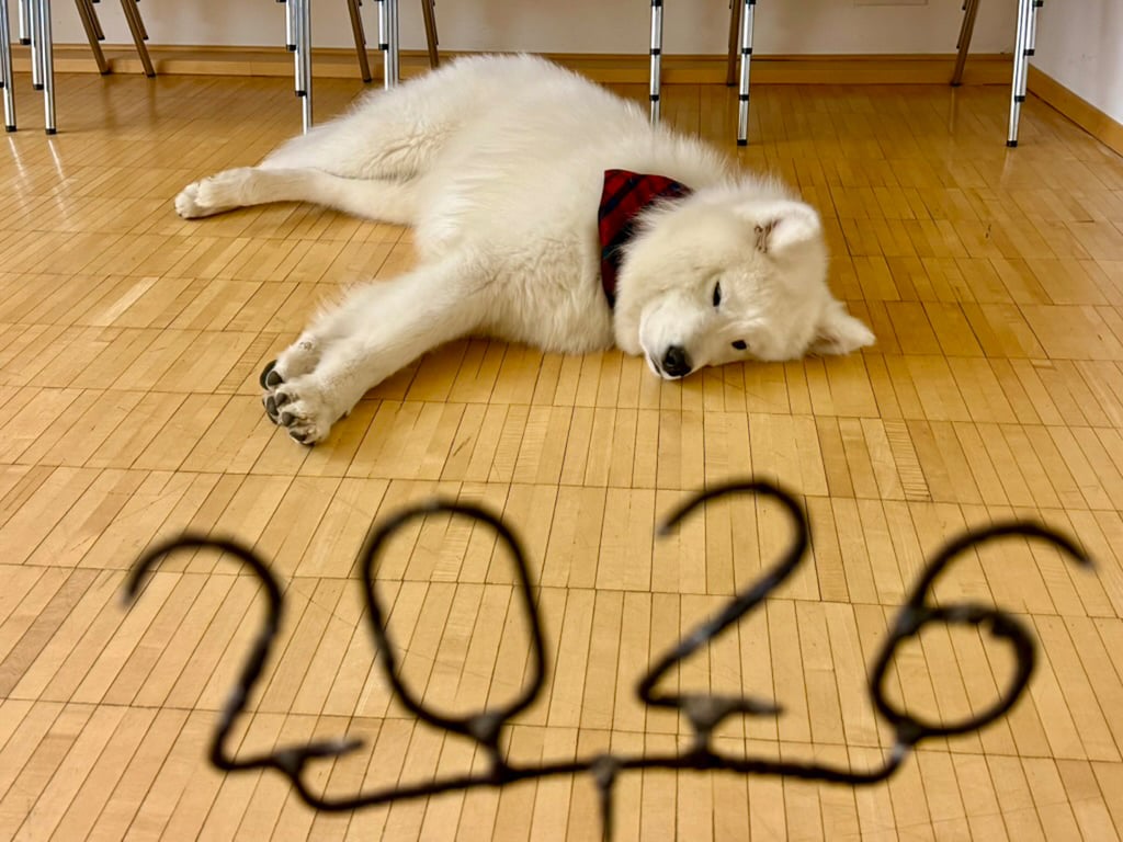 Фото: Катя Гликман