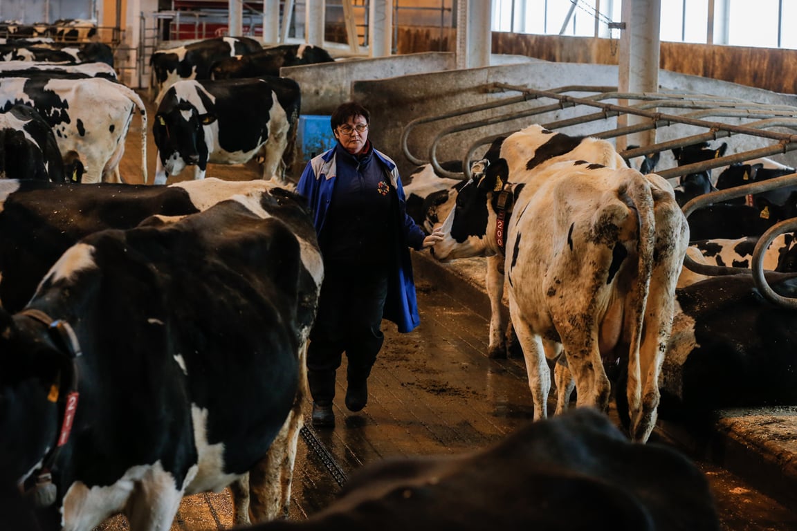 Иллюстративное фото. Источник: Сергей Ильницкий / EPA