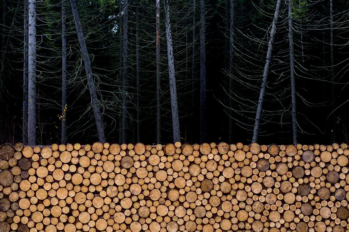 Фото: «Ветер»