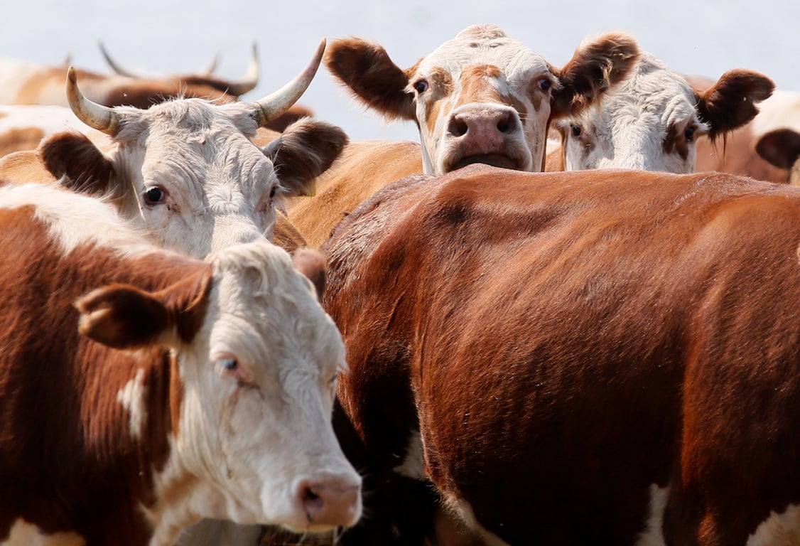 Фото: Илья Наймушин / Reuters / Scanpix / LETA