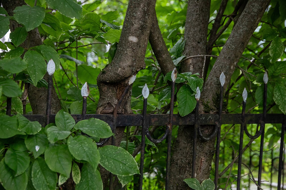 Фото: «Новая Газета Европа»