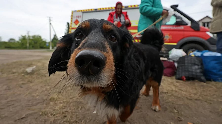 Изображение материала