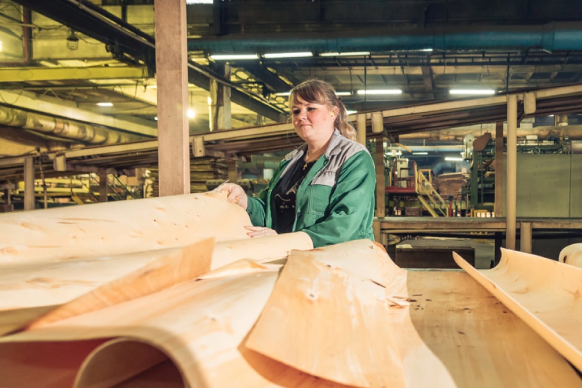 Жешартский фанерный комбинат. Фото:  upgweb.ru