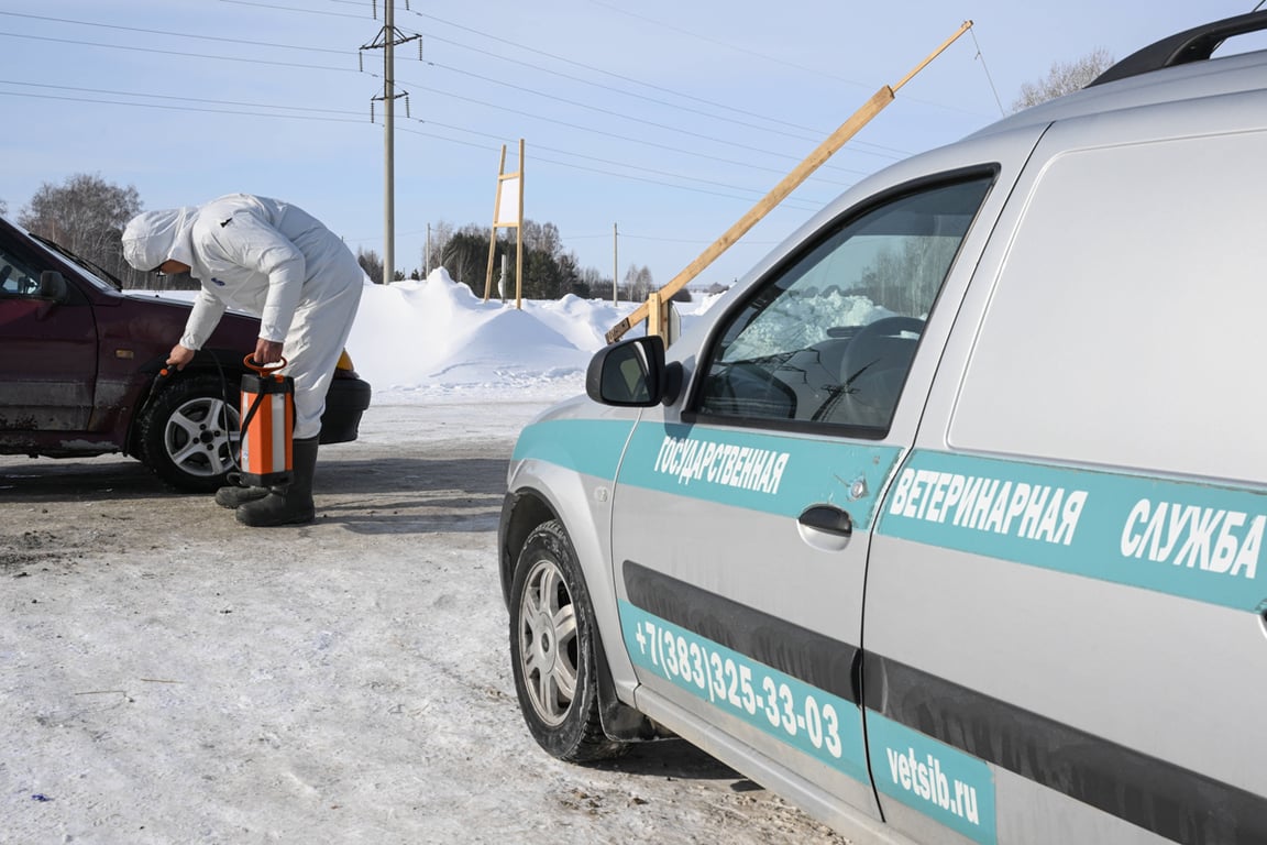 Сотрудник ветслужбы проводит дезинфекцию автомобиля в селе Новопичугово, Новосибирская область, 17 марта 2026 года. Фото: Александр Кряжев / Спутник / Imago Images / Scanpix / LETA