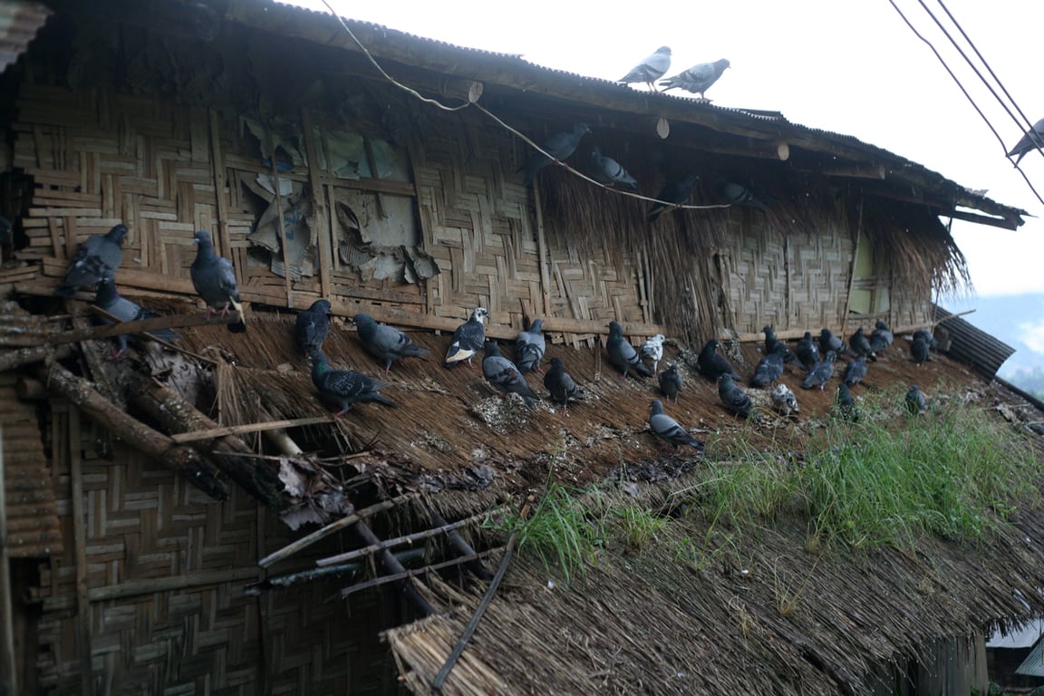 Дом в лагере беженцев в районе Умфанг, Таиланд, 2014 год. Фото: Rohan Radheya / ZUMA Wire / Alamy Live News / Vida Press