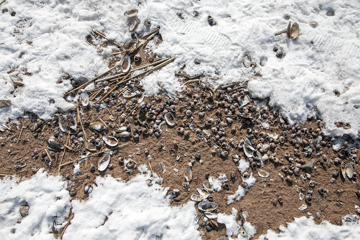 Фото: «Новая Газета Европа»