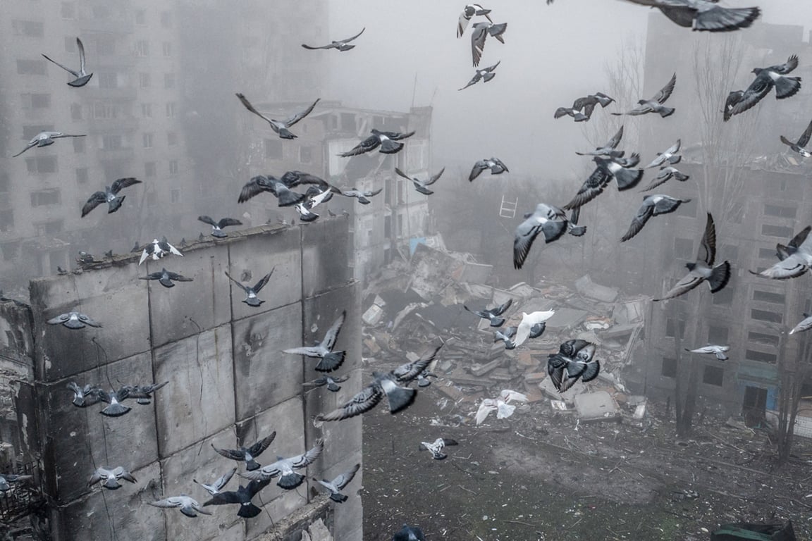 Pigeons fly over the Donetsk region city of Kostyantynivka in eastern Ukraine, 28 November 2025. Photo: Oleg Petrasiuk / AFU / Reuters / Scanpix / LETA