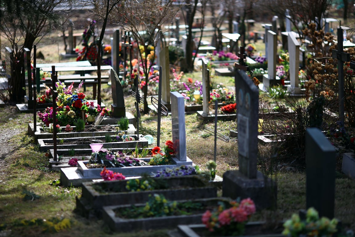 Фото: Jens Buettner / EPA