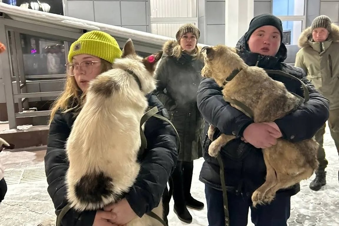 Спасение собак в январе 2024 года. Фото: фонд  «Собака счастья»