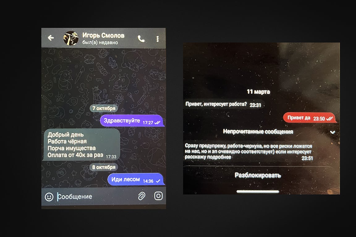 Скрины переписок с мошенниками. Источник: группа Соликамск Live 2
