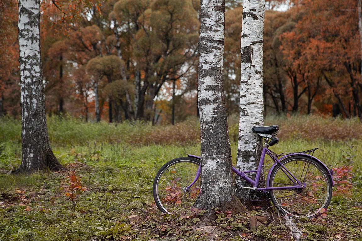 Фото: «Новая Газета Европа»