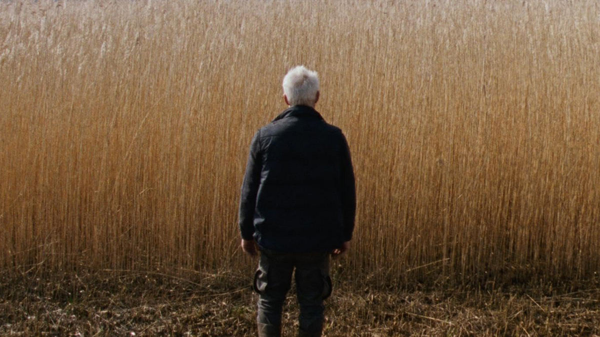 Кадр из фильма «Край камыша». Фото: www.molodist.com