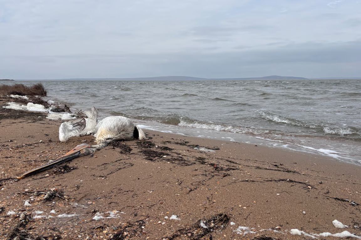 Photo provided by volunteers.