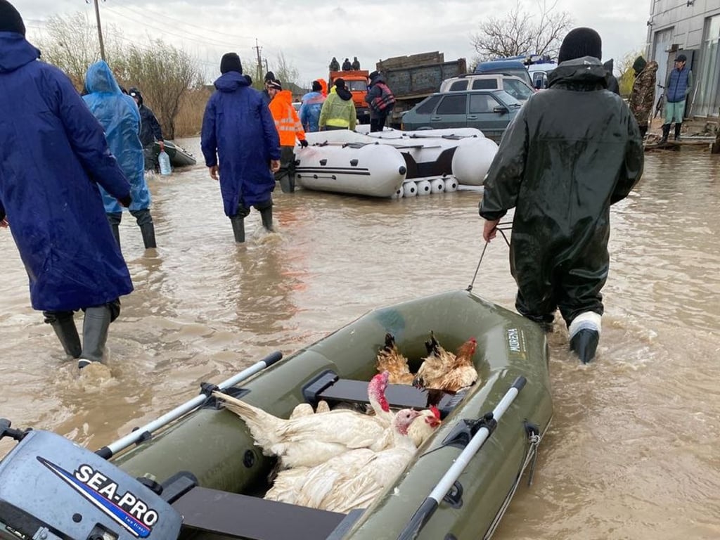 Фото: МЧС Дагестана