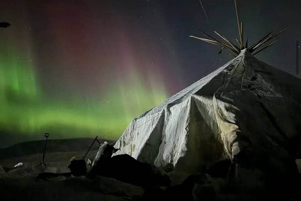 Традиционное жилище чукчей Яранга в Чукотской тундре. Фото: Евгений Басов