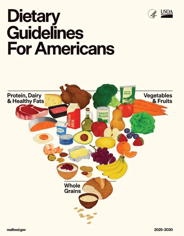 Новая пирамида питания. Фото:   fns.usda.gov