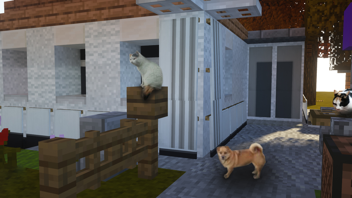 Домашние животные Валерия, которых он добавил на скриншот игры. Фото предоставлено героем