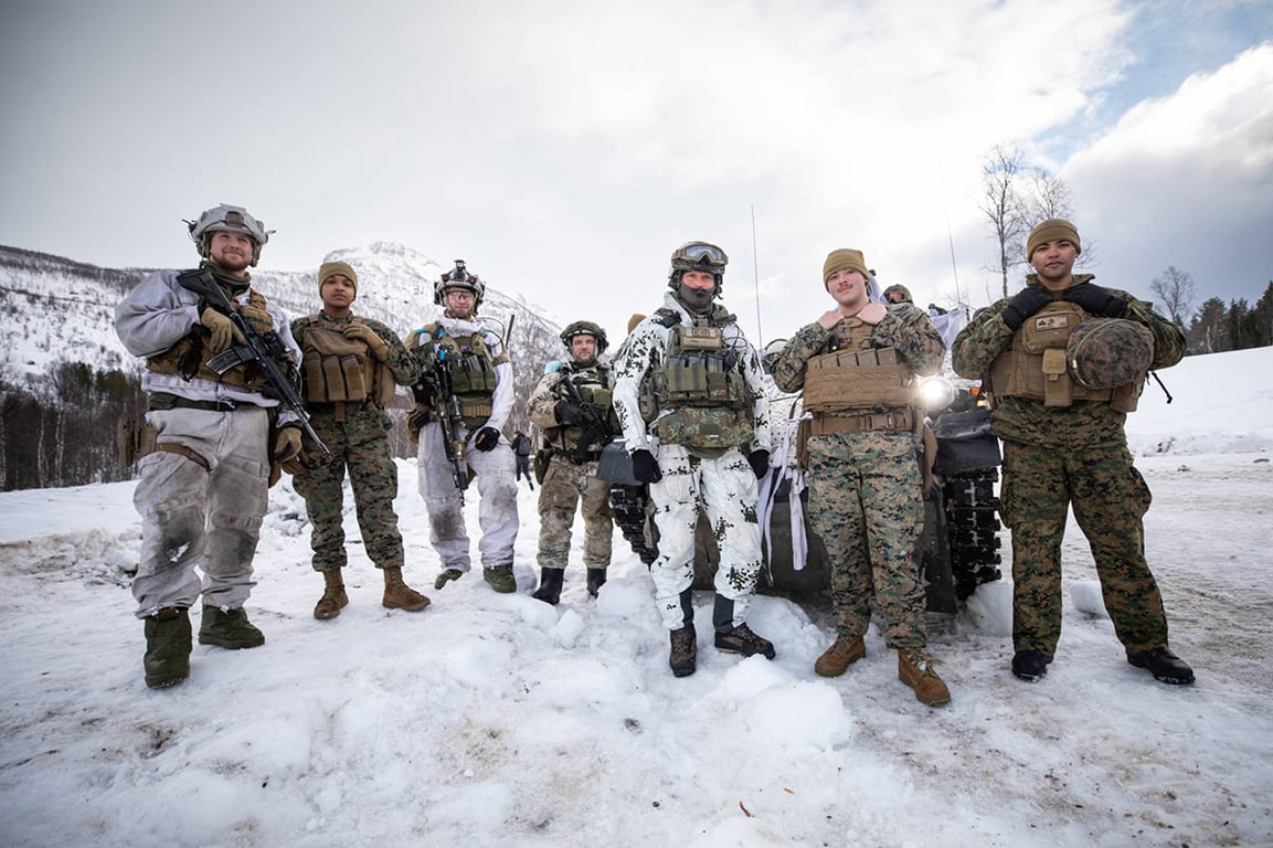 Во время учений « Cold Response 2026» , в которых задействованы военные из 14 стран НАТО. Фото:  forsvaret.no