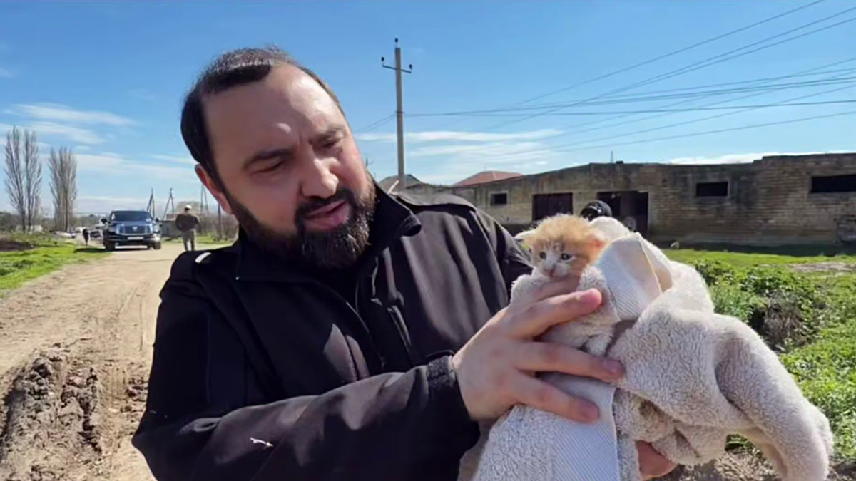 Султан Хамзаев с котенком. Фото: соцсети / Telegram / ХАМЗАЕВ