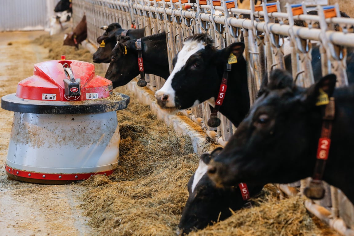 Иллюстративное фото. Источник: Сергей Ильницкий / EPA