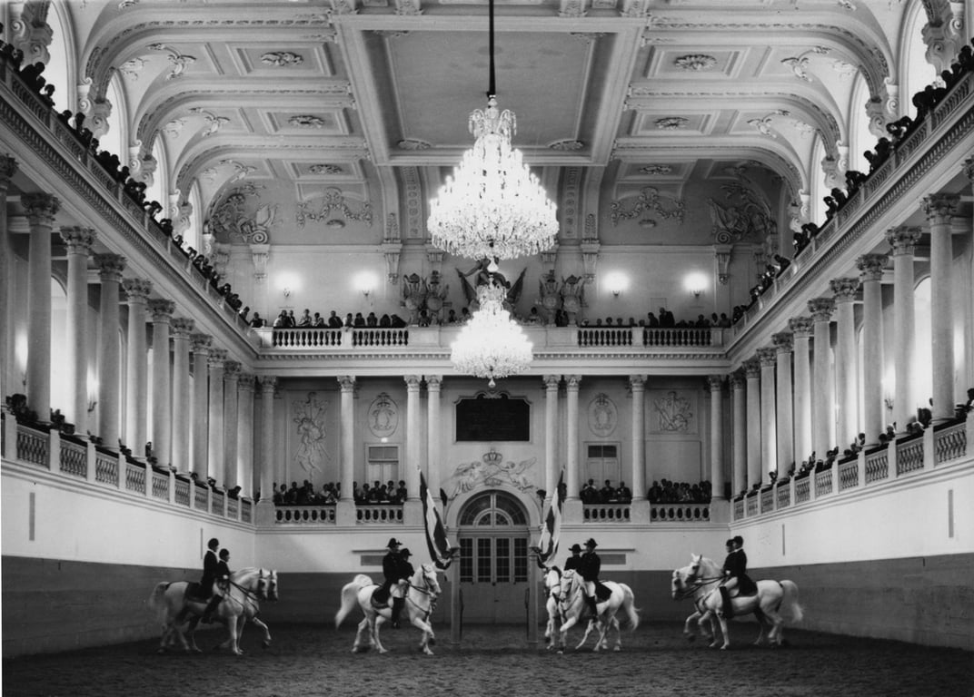 Липицанские лошади во время выездки в Испанской школе верховой езды, Вена, Австрия, 1960 год. Фото:  akg-images / Scanpix / LETA