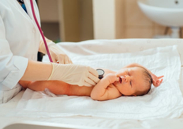 הכירי את המיילדת - דפנה טייאר