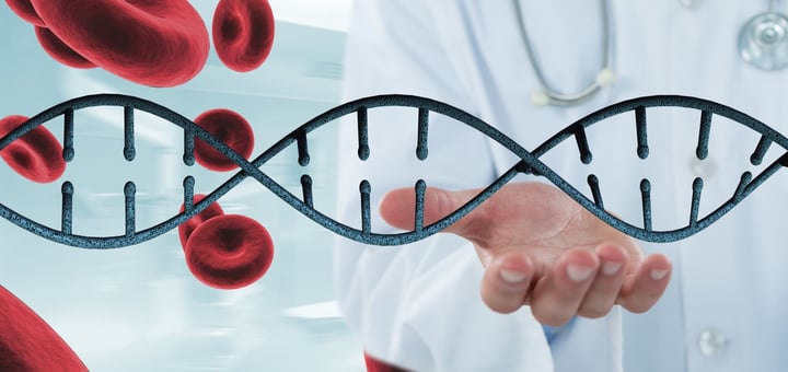 המחלקה להשתלות מח עצם הדסה עין כרם