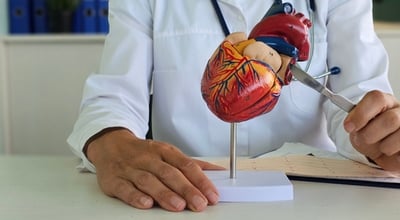 חידושים בהדמיית הלב