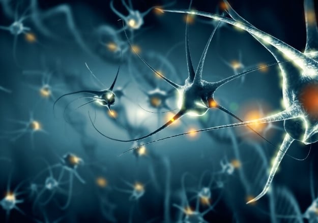 שיקום נוירולוגי