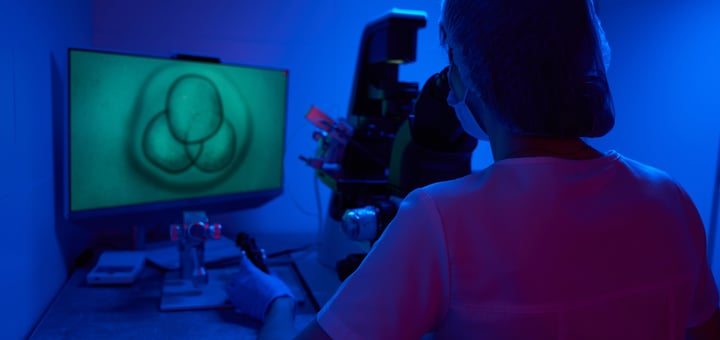 שימור פוריות הדסה עין כרם