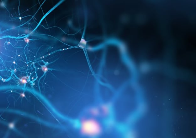 השיקום הנוירולוגי