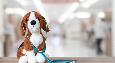 לא משחק ילדים