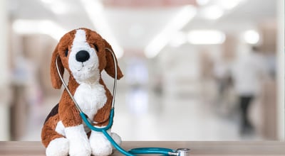 היחידה לטיפול נמרץ בפג ובילוד הדסה הר הצופים