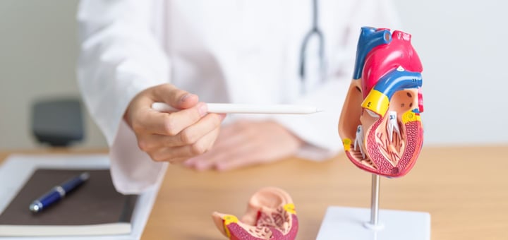 המרכז לחקר, מניעה וטיפול בטרשת העורקים הדסה עין כרם