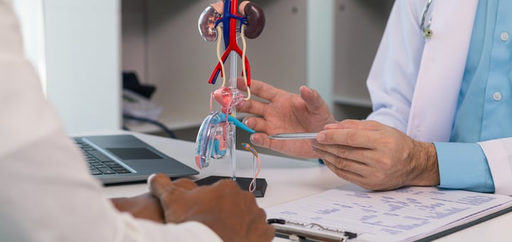 סרטן הערמונית - תסמינים וטיפול