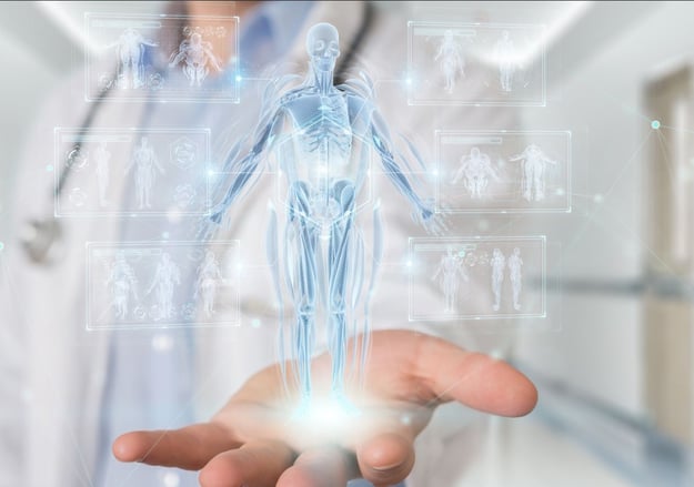 אגף רפואת השריר והשלד