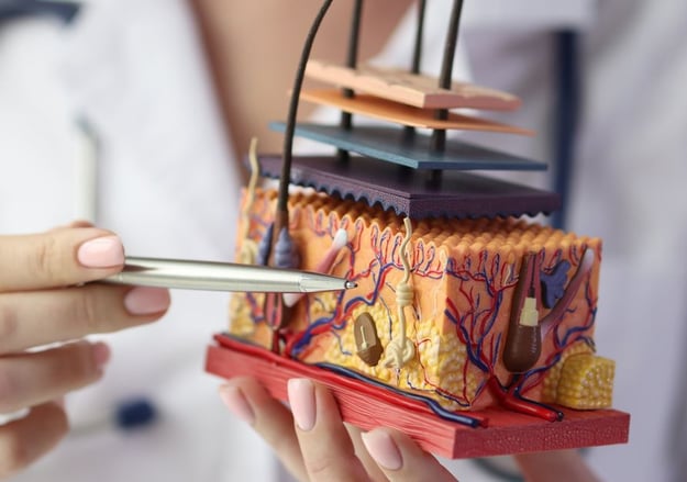 מרפאת דלקת עור ממגע