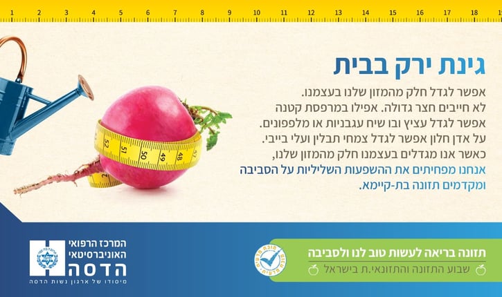 גינת ירק בבית