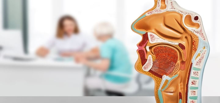 מרפאת אף וסינוסים הדסה עין כרם